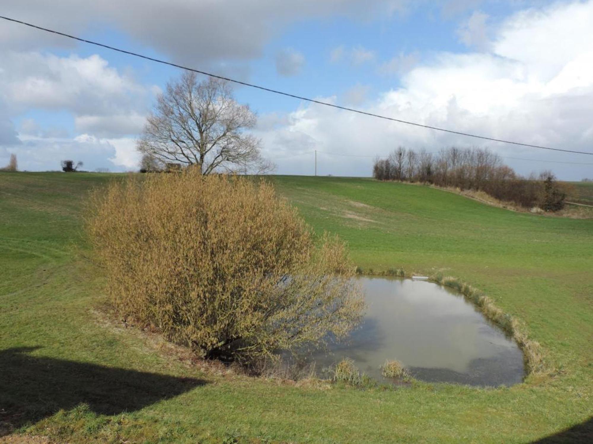 Maison De Campagne Renovee Avec Jardin Clos, Terrasse, Jeux, 5 Chambres, Et Animaux Acceptes - Fr-1-497-109 Mauves-sur-Huisne Buitenkant foto